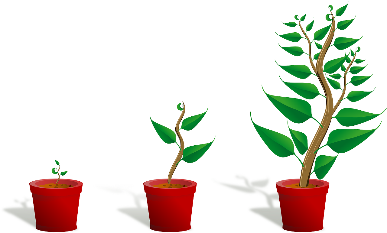 growth